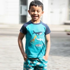 Frugi Boys Blue Cotton Whale Shorts -Outlet Little Gents Set Store frugi boys blue cotton whale shorts 480641 26aa1a7054300e097991f039713d940c70e5318a outfit