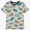 Hatley Boys Grey Cotton T-Shirt