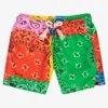 MC2 Saint Barth Boys Multicolour Swim Shorts