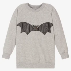 Wauw Capow By Bangbang Boys Grey Bat Sweatshirt